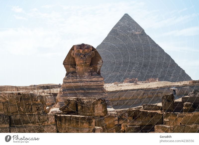 Sphinx-Statue und Cheops-Pyramide in Gizeh Ägypten Afrika cheops Cheops Pyramide Ägypter Sphinx-Denkmal antik Antiquität Archäologie Architektur authentisch