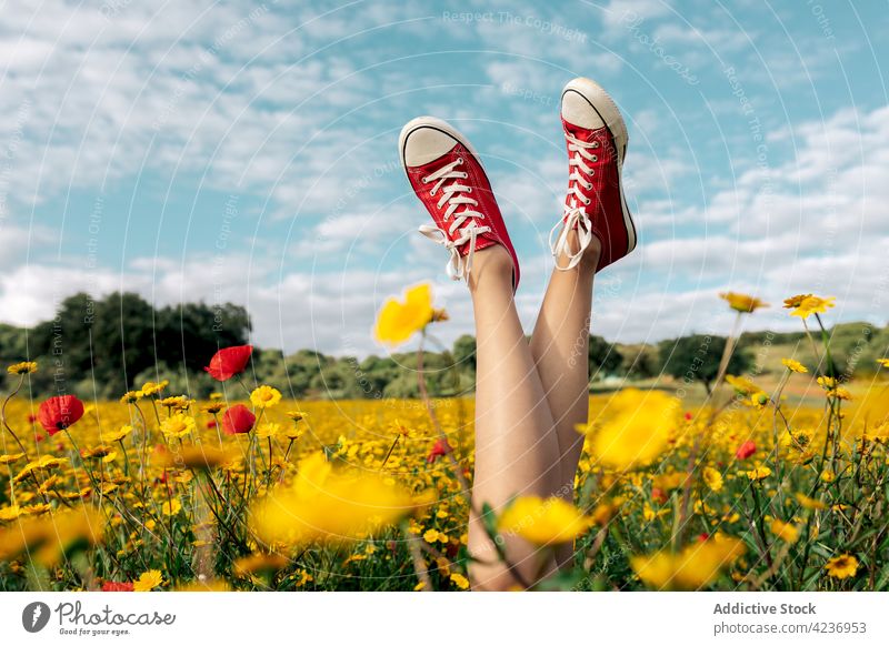 Crop-Frau in Gummischuhen mit hochgelegten Beinen im Sommerfeld Schnüffler Stil angehobene Beine Beine gekreuzt Gänseblümchen Blütezeit Natur Feld Landschaft