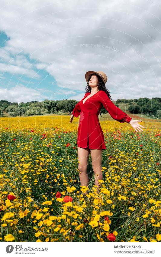 Stilvolle Frau steht auf blühendem Gänseblümchenfeld Feld Natur Blume Wiese Landschaft Augen geschlossen Blütezeit Hut feminin Sommer Harmonie Flora Sonnenkleid