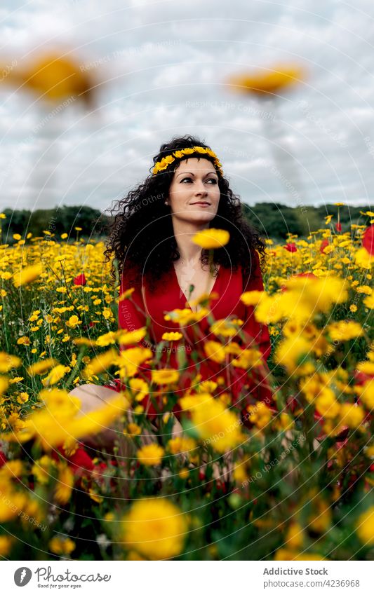 Stilvolle Frau steht auf blühendem Gänseblümchenfeld Feld Glück Lächeln Natur Blume Wiese Landschaft Freude Blütezeit Blumenkrone feminin Sommer Harmonie Flora