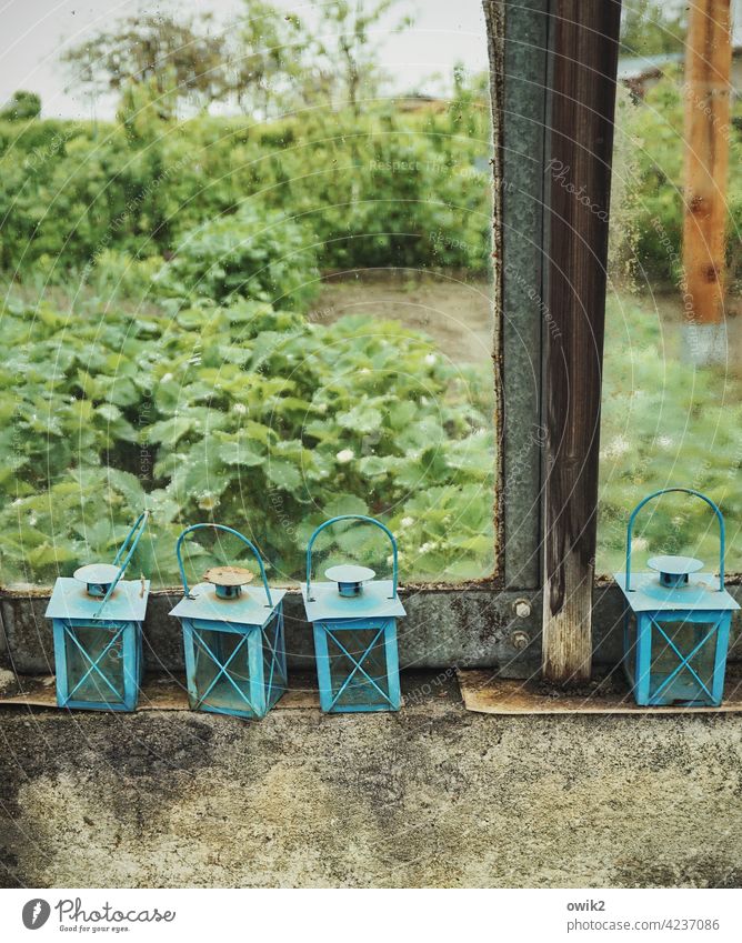 Verschwommene Aussicht Farbfoto Leuchte alt Stille Menschenleer geheimnisvoll Gewächshaus Garten Glas nass Regen Regentag Beete verschwommen schlechtes Wetter