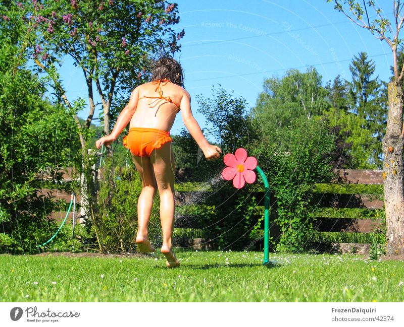 Spritzblume Kind Spielen Gras Wiese Schlauch Sommer Bikini Mensch Garten Gardena Wasser Sonne Freude