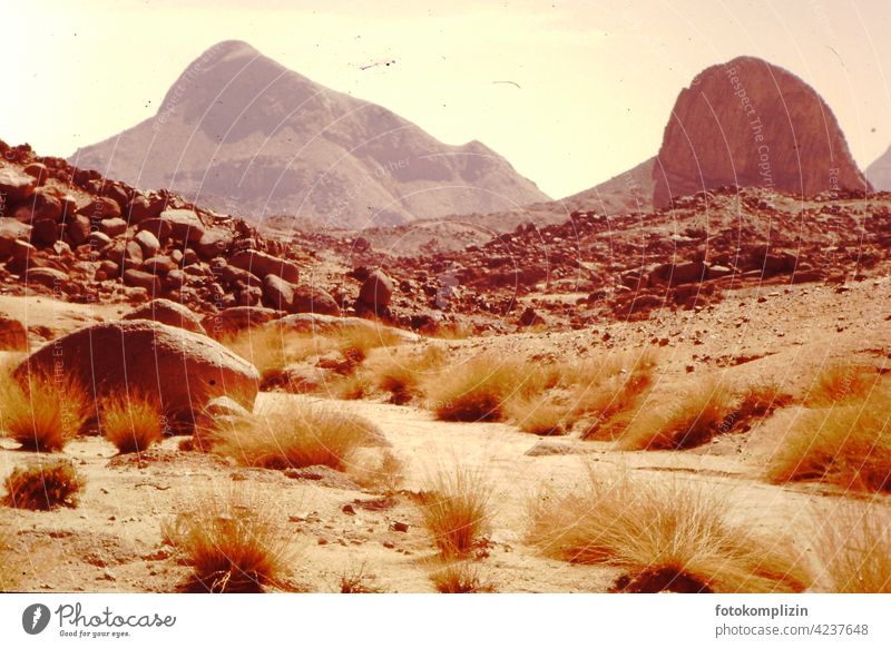 Ausgetrocknetes Flusstal in felsiger Landschaft der Sahara Wüste ausgetrocknet Felsen Menschenleer Natur Sand Wüstenlandschaft wüst Ferien & Urlaub & Reisen