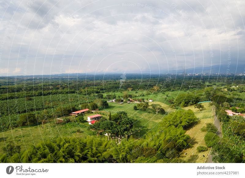 Drohnenansicht von Villen in grüner, tropischer Landschaft Villa Cottage malerisch Natur Wohnsiedlung Viertel wolkig ruhig Haus üppig (Wuchs) pflanzlich