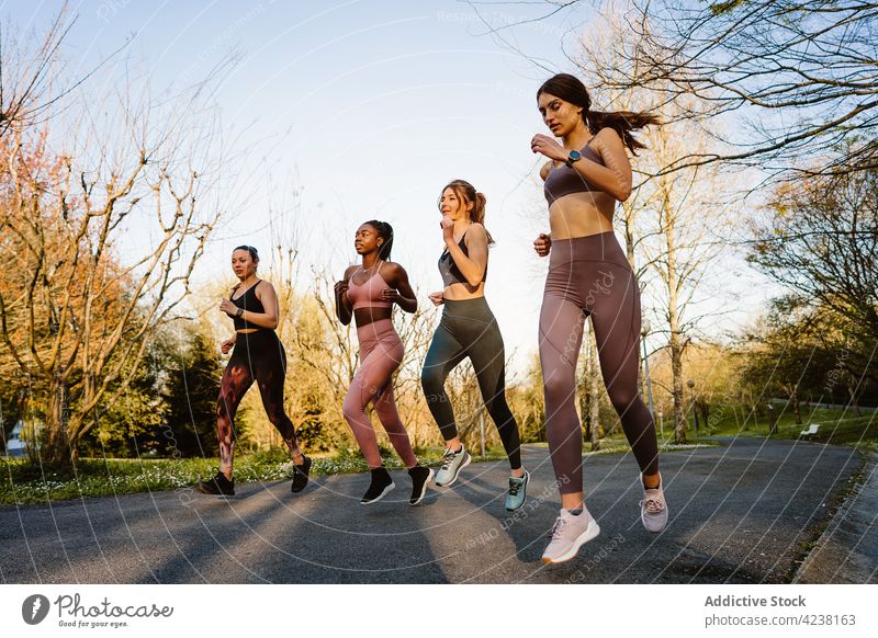 Fröhliche, bunt gemischte Sportlerinnen laufen auf einem Fußweg in einem Stadtpark Läufer joggen Training Herz Aktivität reden Frauen Park heiter Aufwärmen