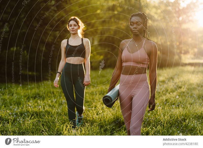 Multiethnische Sportlerinnen im Sommerpark bei Sonnenuntergang Park Training Unterlage Athlet Zusammensein Sportbekleidung passen Gesundheit Frau multiethnisch