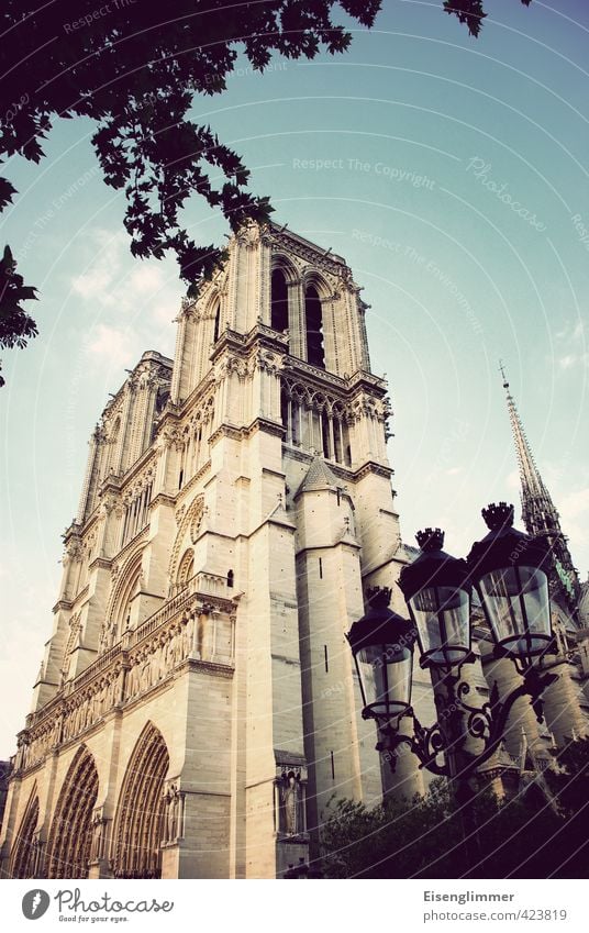 Notre Dame Paris Frankreich Europa Kathedrale Notre-Dame Straßenbeleuchtung alt ästhetisch außergewöhnlich Bekanntheit Farbfoto Gedeckte Farben Außenaufnahme