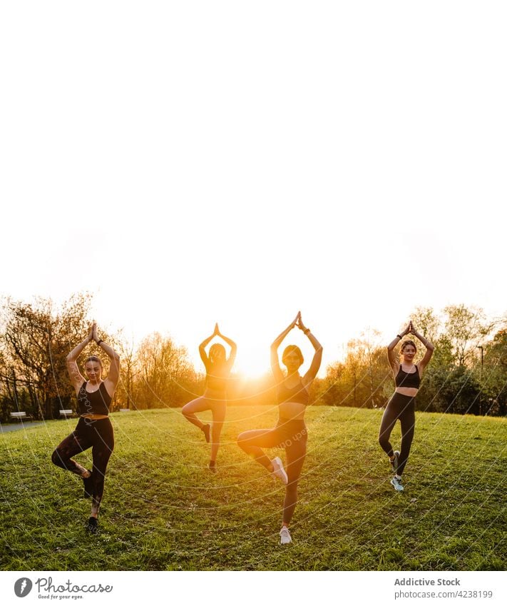 Anmutige Frauen machen zusammen Yoga im Park bei Sonnenuntergang Menschengruppe üben Baumhaltung Zusammensein Gleichgewicht vrksasana Unternehmen Harmonie Natur