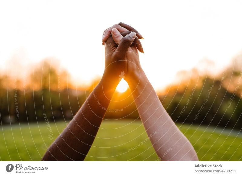 Verschiedene Frauen halten sich bei Sonnenuntergang an den Händen Händchenhalten Einheit Konzept Toleranz Freiheit Zusammensein abstützen Respekt Solidarität