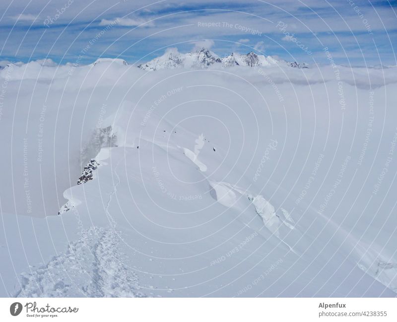 Sahnehäubchen Alpen Berge u. Gebirge viertausender Gipfel Gletscher Schneebedeckte Gipfel Außenaufnahme Felsen Landschaft Natur Klimawandel Gletscherschmelze
