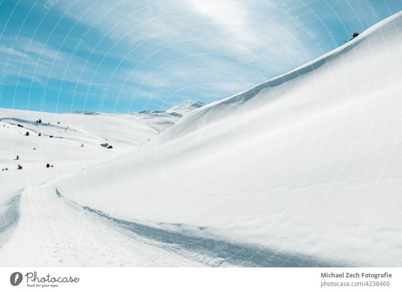 Winterwanderung in den Schweizer Alpen bei Feldis, Kanton Graubünden Landschaft blau Natur Fichte Wald Schnee Weihnachten Himmel Berge u. Gebirge Tanne reisen
