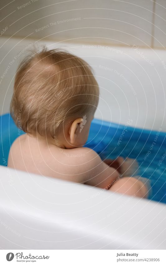 11 Monate altes Baby mit dem Rücken zur Kamera in einer blauen Plastikbadewanne sitzend; blondes, strähniges Haar Bad Badewanne Badezeit Sauberkeit Erreichen