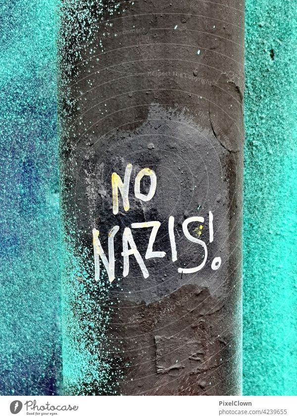 Graffiti mit politischem Statement Blume Wandmalereien Straßenkunst Jugendkultur Wort Mauer Nazi Schriftzeichen Subkultur