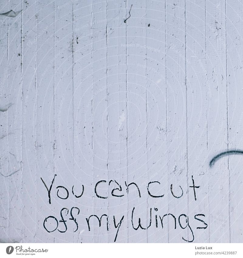 Erkenntnis, Einsicht oder nur Schmiererei... you can cut off my wings Graffiti Wand weiß Mauer Schriftzeichen Fassade Menschenleer Buchstaben Straßenkunst