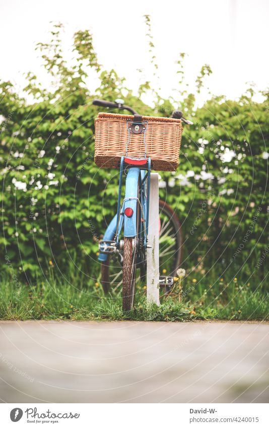 ein abgestelltes Fahrrad mit Korb Fahrradkorb parken Natur Rad Fahrradtour Fahrradfahren Verkehrsmittel Freizeit & Hobby