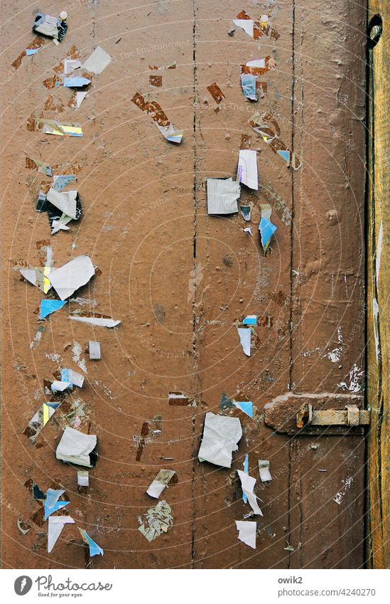 Aushang Zahn der Zeit Papierfetzen Holz Schilder & Markierungen alt Verfall Zerstörung Vergänglichkeit Information Hinweisschild Holzbrett Reißzwecken verlieren