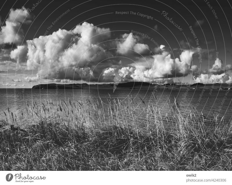Haltmichfest... Schwarzweißfoto Außenaufnahme Himmel Wolken Horizont Küste Ostsee maritim Strand Meer Landschaft Wasser Mecklenburg-Vorpommern Ostseeküste