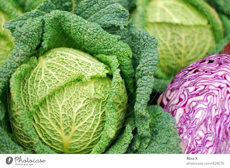 Wirsing Lebensmittel Gemüse Salat Salatbeilage Ernährung Bioprodukte Vegetarische Ernährung Diät frisch Gesundheit lecker grün Rotkohl Kohl Wochenmarkt