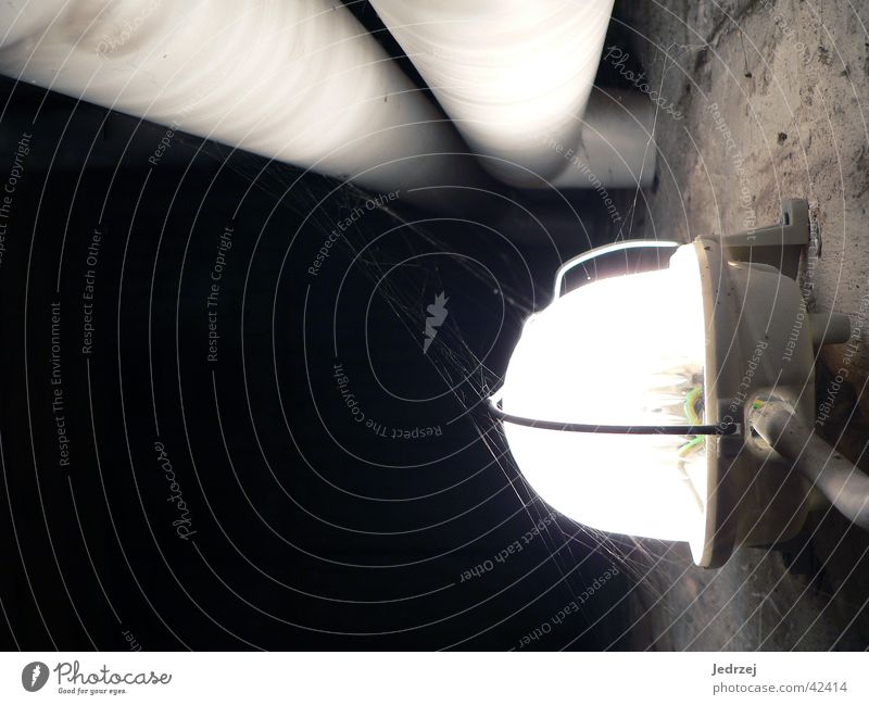 Kellerlampe Lampe Wasserrohr Wand dunkel elektrisch hell spinnennet Kontrast Kabel Röhren
