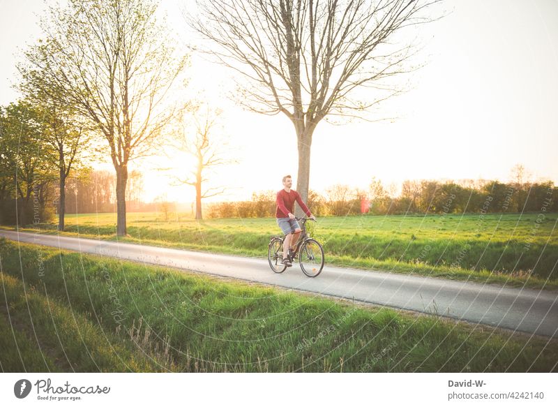 mit dem Fahrrad durch grüne fahren Fahrradfahren Natur Grüne Sommer Sonnenuntergang Sonnenschein genießen Mann Landschaft ruhe Ausflug Bewegung Schönes Wetter