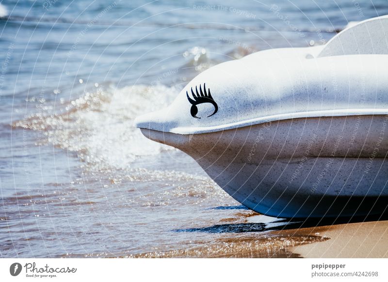 Delfin-Tretboot fisch Fisch Meer Menschenleer Tier Farbfoto Sand Sandstrand Urlaub Urlaubsstimmung Urlaubsfoto Schwimmen & Baden Ferien & Urlaub & Reisen