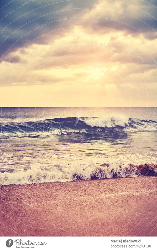 Tropischer Sandstrand bei Sonnenuntergang, selektive Fokussierung auf die heranbrausende Welle, Farbtonung angewendet. Strand MEER winken Wasser Meer