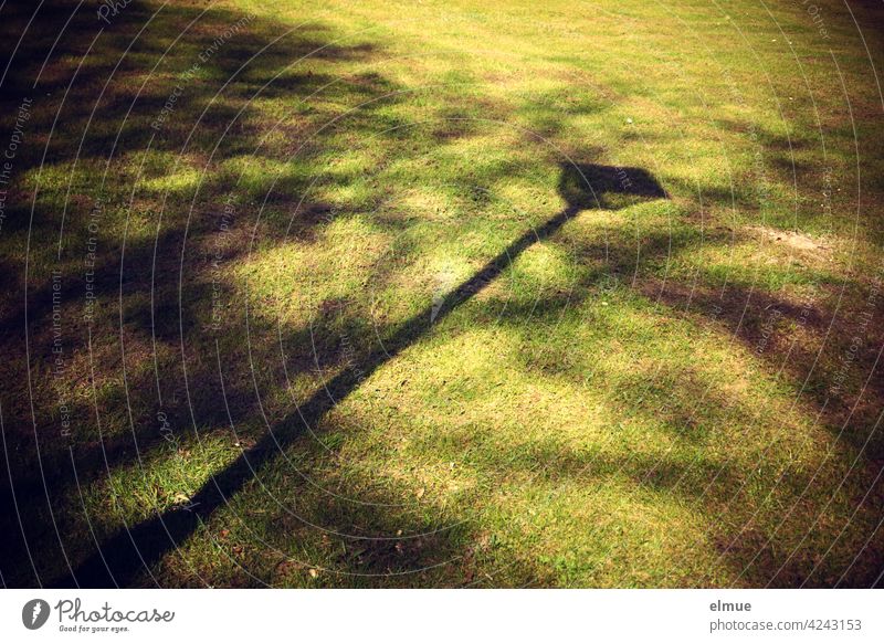 Schatten einer nostalgischen Straßenlampe und von Blattwerk auf einer Wiese / Park / relaxen Schattenspiel Baum Busch Grünfläche Sonnenlicht grün Gras Natur