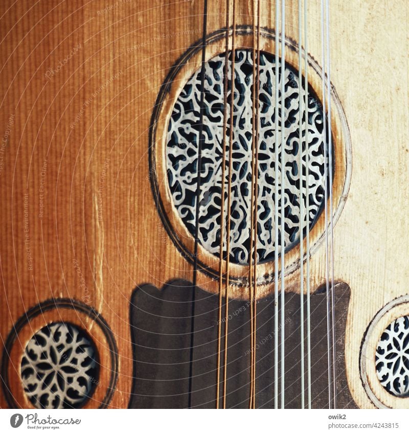 Klangkörper Ud Musikinstrument Saiteninstrumente Arabische Laute exotisch glänzend Holz Oud ornamental Rosette ruhig leuchten selten Kunst musizieren