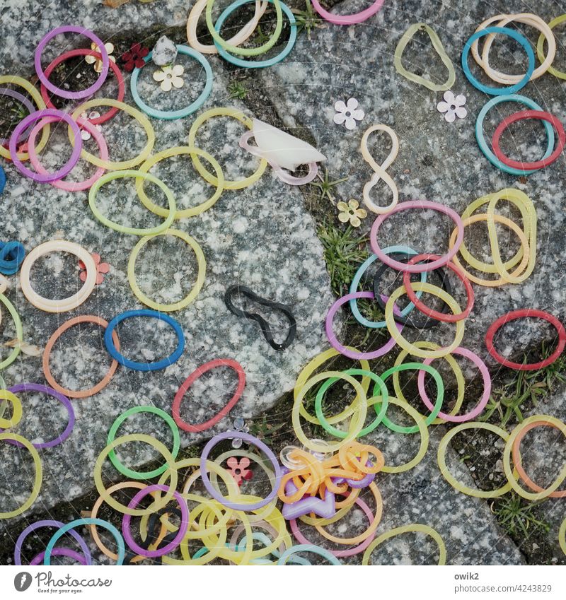 Versammlungsfreiheit Gummi Ring Geschenkband Haarband Menge achtlos verlieren beweglich durcheinander verloren rot rosa unten viele verrückt gelb grün violett