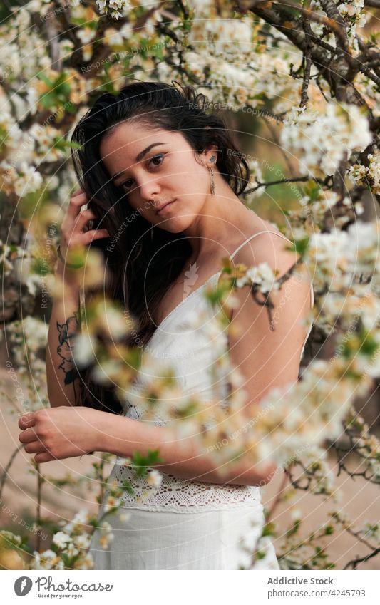 Romantische Frau zwischen blühenden Zweigen Blütezeit Baum romantisch weißes Kleid Windstille charmant sanft Stil Flora schön Sommer Natur Pflanze Blume jung