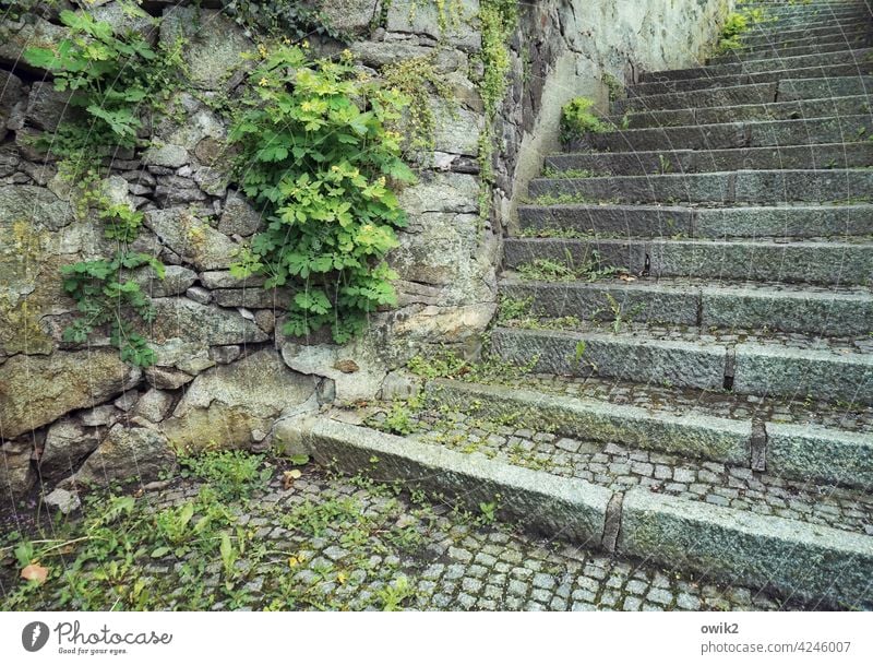 Auf gehts Treppe Treppenstufen Stein alt Bauwerk Außenaufnahme Menschenleer Farbfoto Wand Steine Mauer Karriere Treppenabsatz Niveau aufsteigen einzigartig