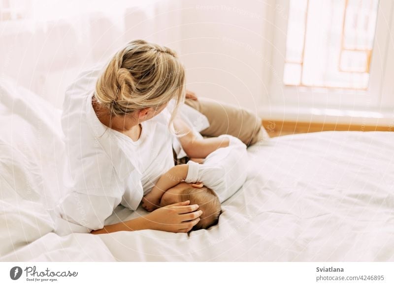 Eine junge Mutter stillt ihr neugeborenes Baby, während sie auf dem Bett liegt. Pflege, Kindheit, Mutterschaft Stillen Frau melken Brust füttern natürlich