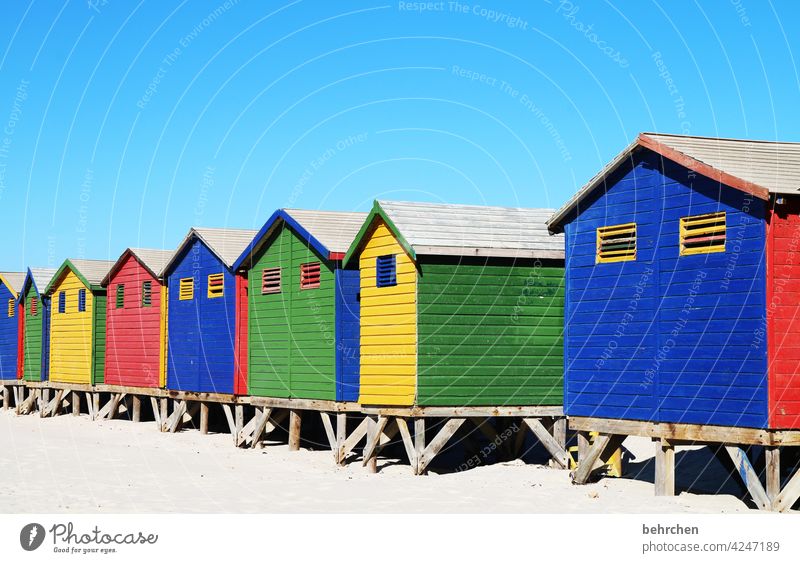 farbcontest | grundfarben gelb grün blau rot genießen träumen Kapstadt Ferien & Urlaub & Reisen Freiheit Natur Ferne Ausflug Abenteuer Tourismus Himmel Küste