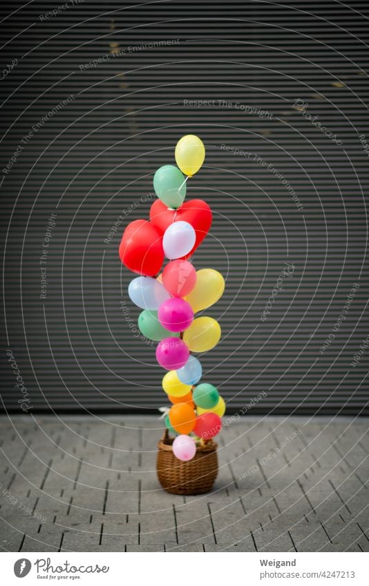 Korb mit Luftballons als Geschenk Hochzeit spannend Schwerelos Leichtigkeit leicht fröhlich Geburtstag Alles Gute Glückwunsch Gelassenheit Freude bunt divers