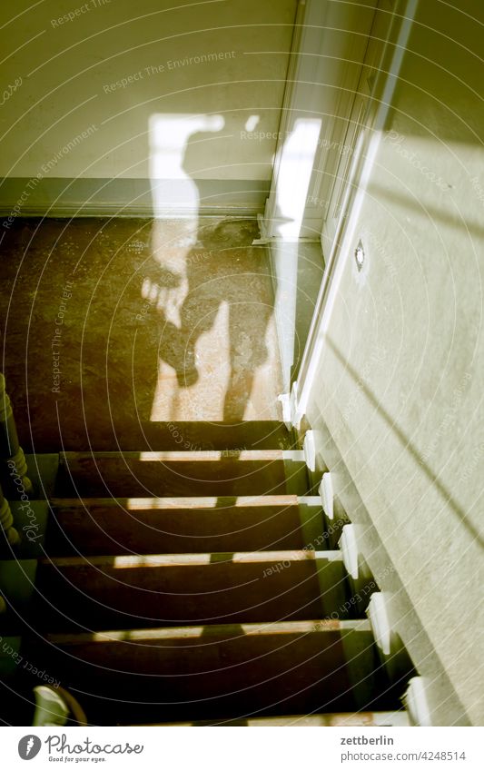 Schatten auf der Treppe absatz abstieg abwärts altbau aufstieg aufwärts fenster geländer haus licht mann mehrfamilienhaus mensch menschenleer mietshaus schatten