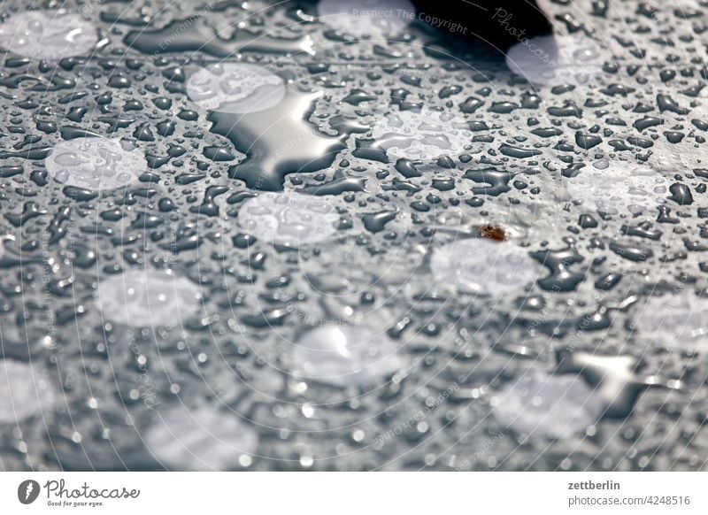Regentropfen auf Wachstuch design dessin folie frühjahr frühling gemustert neu punkte wetterschutz windschutz jahreszeit decke tischdecke plane plastik
