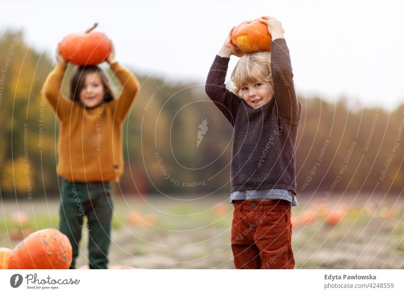 Zwei kleine Jungen haben Spaß in einem Kürbisfeld Halloween Natur Feld Park Herbst fallen Familie Kinder Zusammensein Zusammengehörigkeitsgefühl Menschen Glück