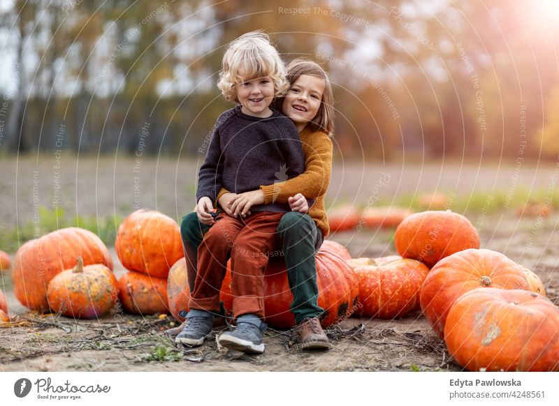 Zwei kleine Jungen haben Spaß in einem Kürbisfeld Halloween Natur Feld Park Herbst fallen Familie Kinder Zusammensein Zusammengehörigkeitsgefühl Menschen Glück
