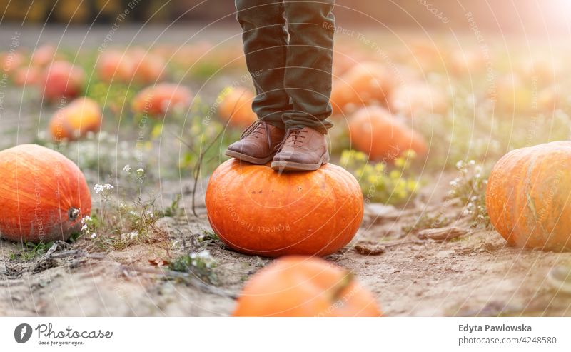 Junge steht auf Kürbis in Kürbisfeld Beine Stehen Stiefel Schuhe kein Gesicht Halloween Natur Feld Park Herbst fallen Familie Kinder Menschen Spaß Freude