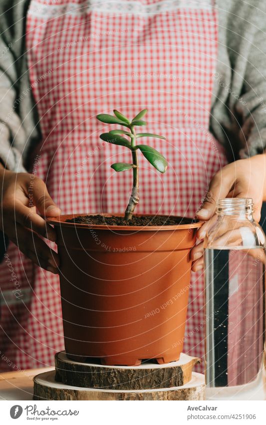 Frau hält einen Topf mit einer wachsenden Pflanze und eine Flasche Wasser Frieden Biologie Reinigen Klimawandel abschließen Kreativität Entwicklung DNA Erde