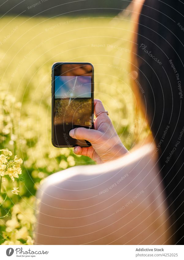 Gesichtslose Frau, die ein blühendes Feld fotografiert fotografieren Blütezeit Blume Smartphone Fotografie Wiese Moment Landschaft Mobile Gerät Lifestyle