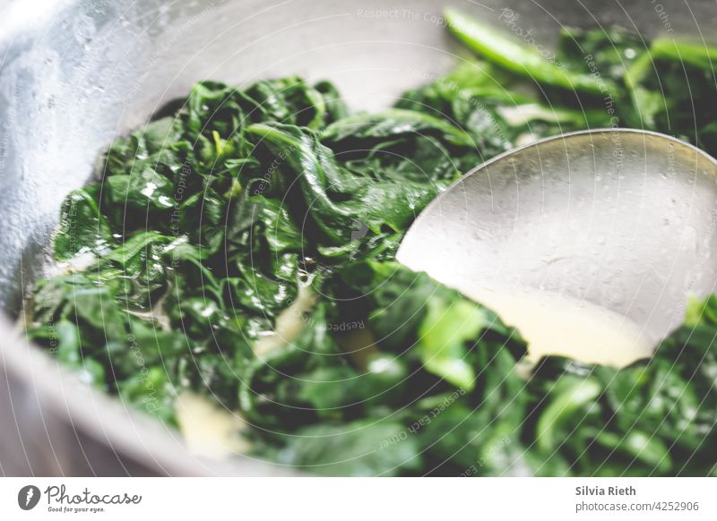 Blattspinat und Rahm in einer Sauteuse mit Löffel Spinat Lebensmittel Gemüse frisch Gesundheit grün Vegetarische Ernährung Küche Bioprodukte Gesunde Ernährung