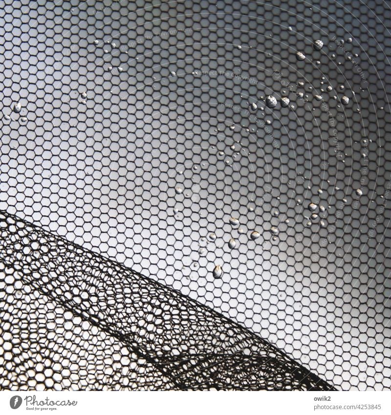 Überlagert Gaze Netz grau Zerstörung Verzerrung kaputt schwarz Wassertropfen klein nah abstrakt leuchten glänzend Kontrast Detailaufnahme Regen nass Tau