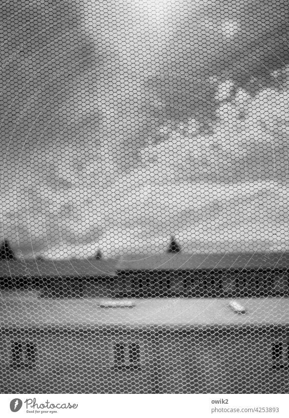 Verschwommenes Grau Netz Makroaufnahme Nahaufnahme Fensterscheibe Innenaufnahme Schwarzweißfoto Menschenleer Silhouette Kontrast Totale Strukturen & Formen