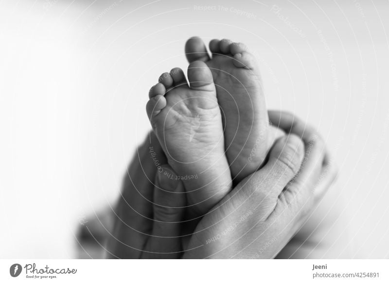 Liebe, Geborgenheit und Vertrauen Schutz Mutter Mutterliebe Sicherheit Glück Hände Füße Fuß Babyfüße halten schützen lieben schutzbedürftig klein niedlich Zehen