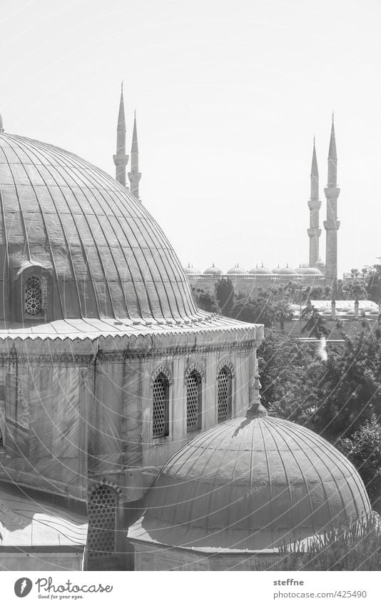 Orient Istanbul Türkei Kirche ästhetisch außergewöhnlich Moschee Blaue Moschee Hagia Sophia elegant Islam Naher und Mittlerer Osten Minarett Kuppeldach