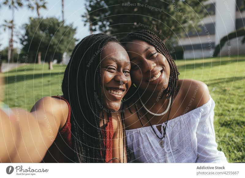 Glückliche schwarze Frauen nehmen Selfie auf Rasen Freundin Selbstportrait Smartphone Freundschaft Bonden Fotografie bester Freund Park Straße Zusammensein