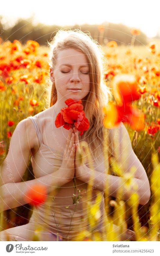Porträt eines schönen Mädchens mit einem Mohnblumenstrauß in den Händen, das auf einem Mohnfeld meditiert. Yoga, Meditation, Mentale Gesundheit Frau meditieren