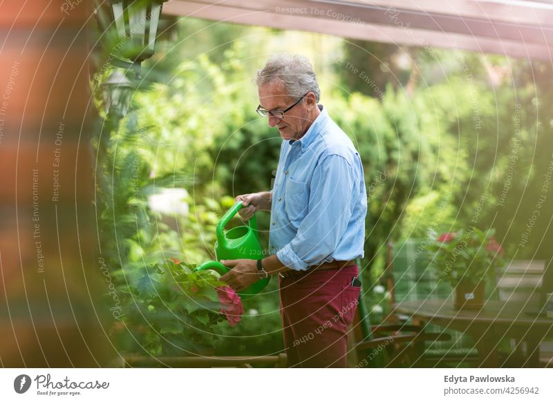 Mann im Ruhestand gießt Pflanzen im Garten Senior alt Männer männlich heimwärts Haus Menschen Lifestyle genießend zu Hause häusliches Leben echte Menschen