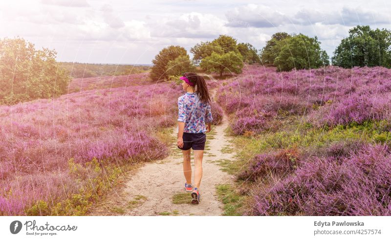 Eine Frau wandert entlang von mit Heidekraut bewachsenen Hügeln, Hoge Veluwe, Niederlande Überstrahlung Maure Samt laufen Gehhilfe Erkundung Rücken Park Reise